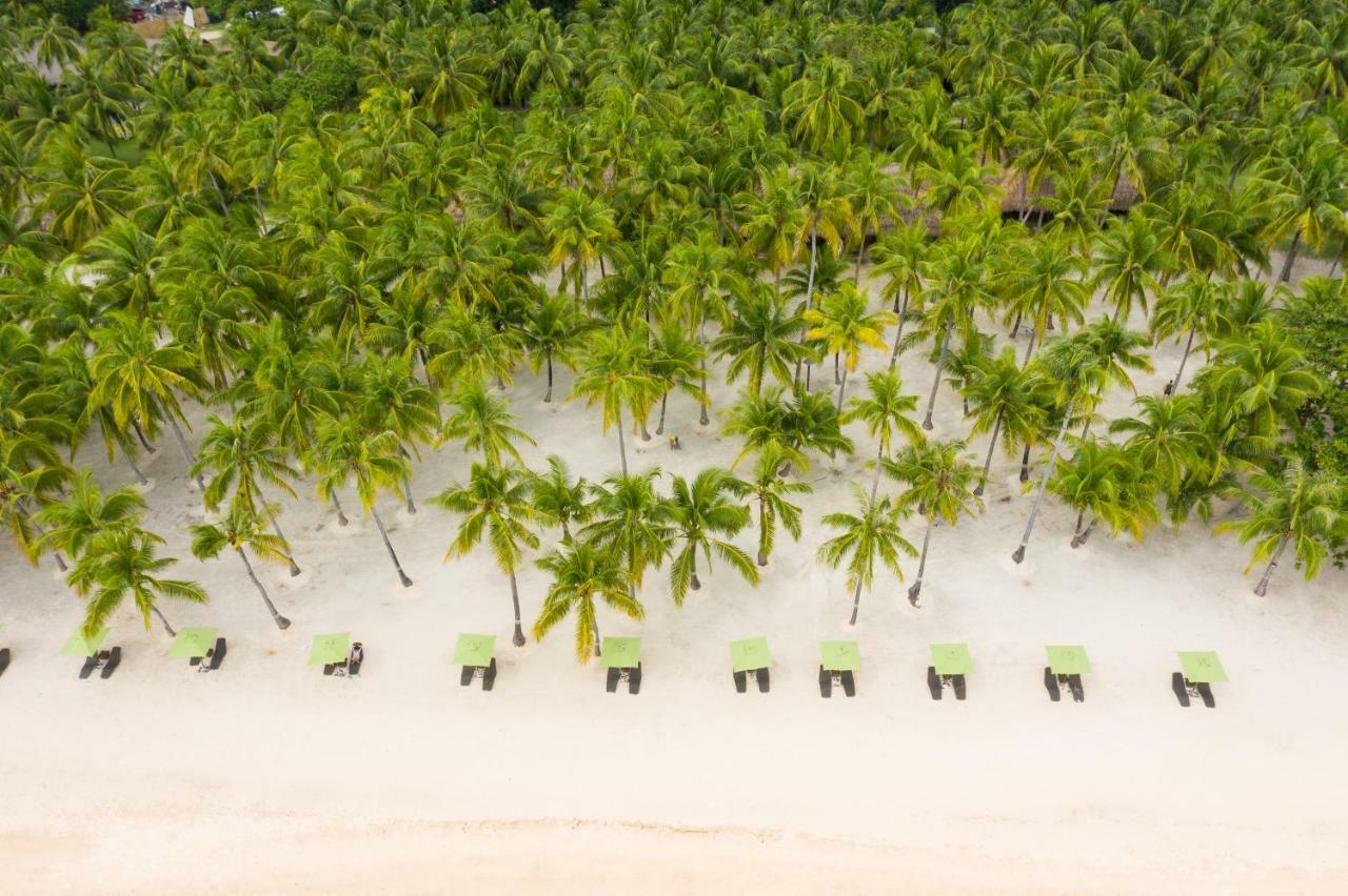 Oceanica Resort Panglao, Bohol Kültér fotó Palm trees on the beach