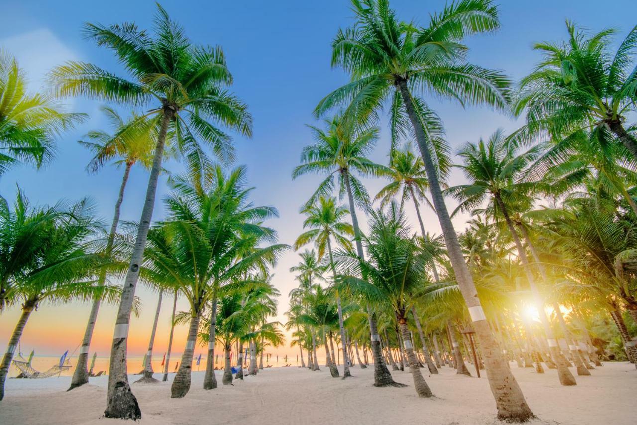 Oceanica Resort Panglao, Bohol Kültér fotó Palm trees on a beach