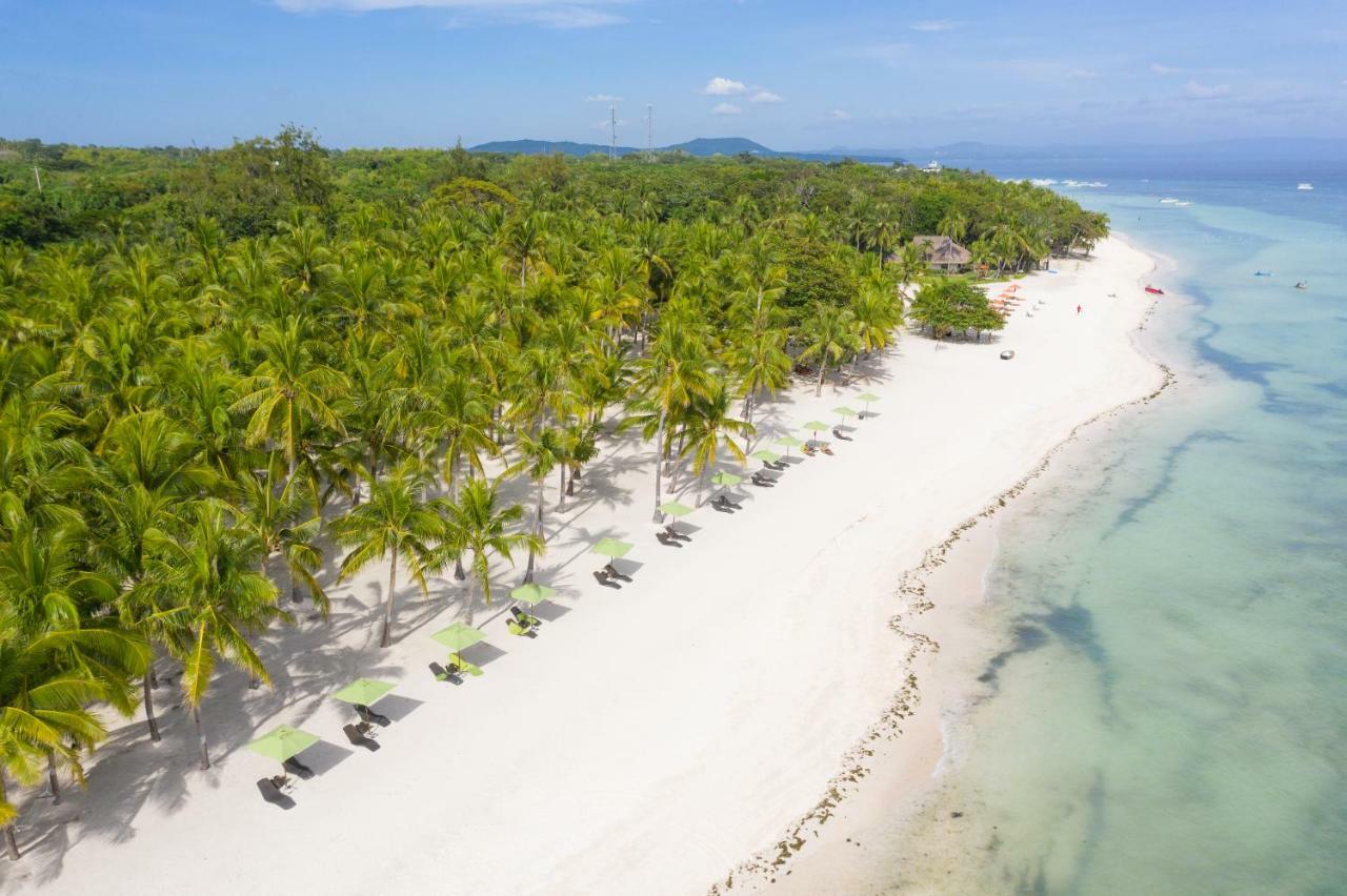 Oceanica Resort Panglao, Bohol Kültér fotó Aerial view of the beach